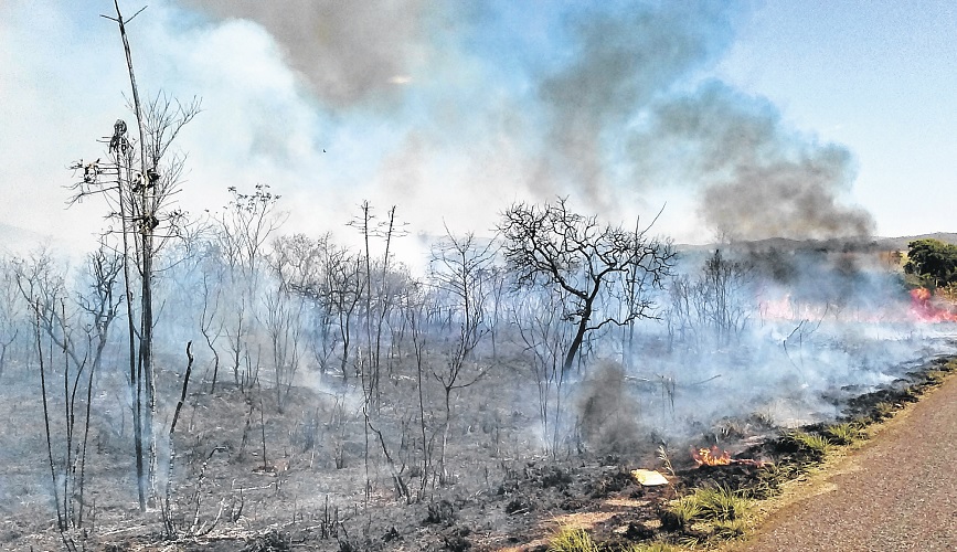 Queimadas caem 34% em Goiás no mês de maio