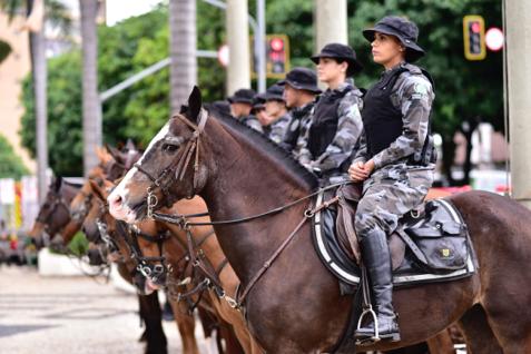 Conheça um pouco mais sobre a Cavalaria da Polícia Militar - SSP