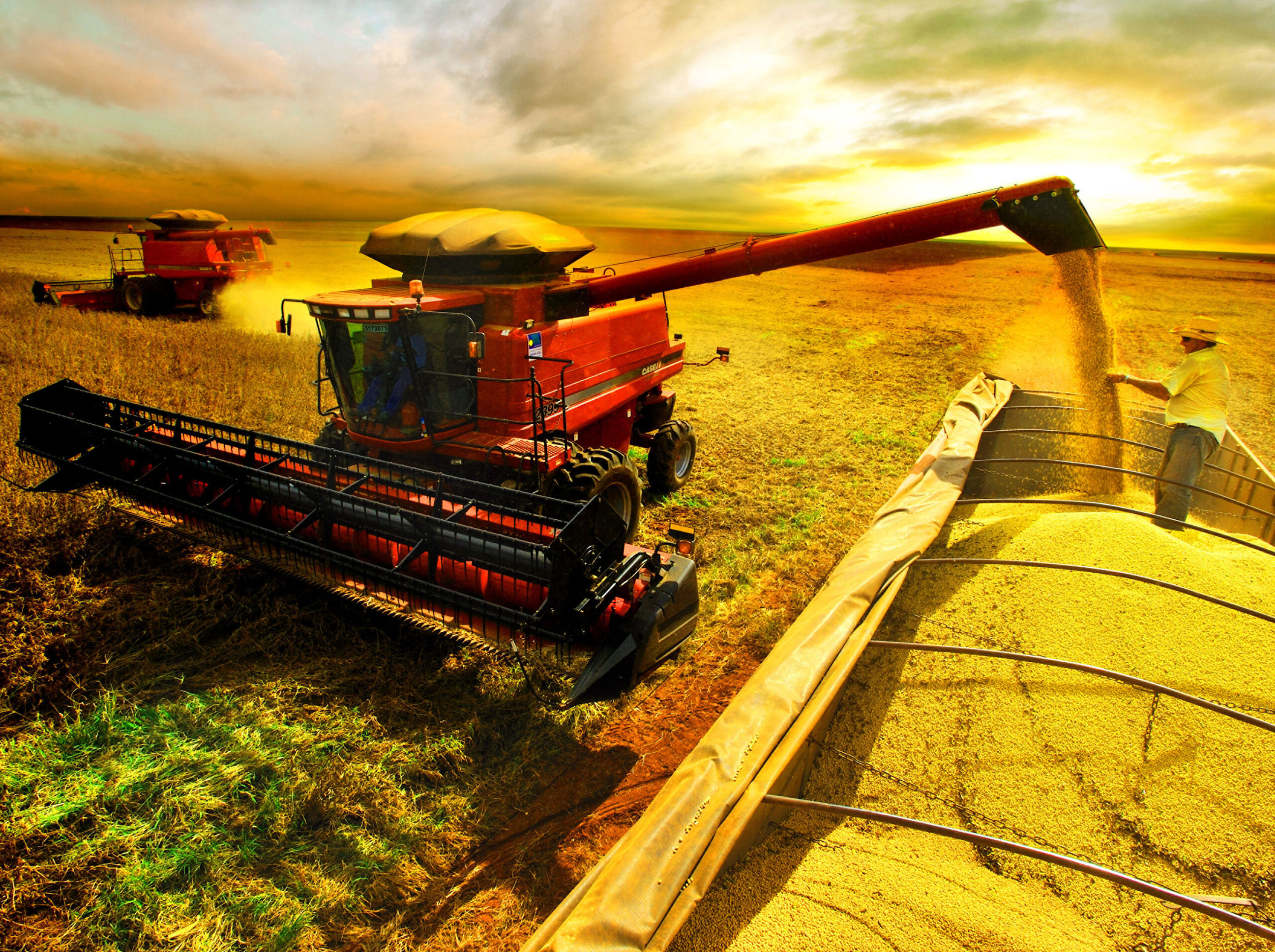 Agricultura como motor do desenvolvimento: o progresso das cidades está no campo