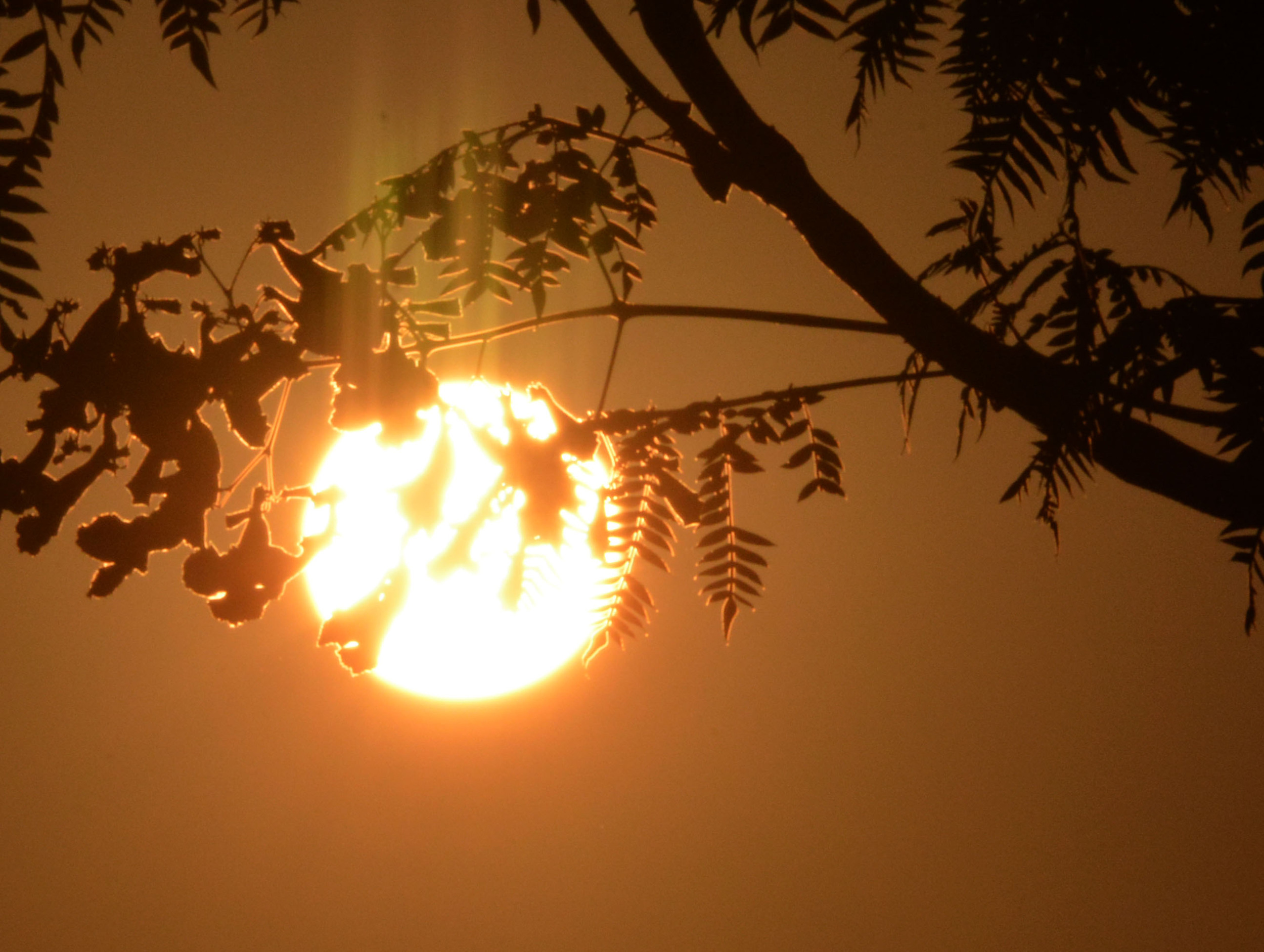 temperatura em Goiás