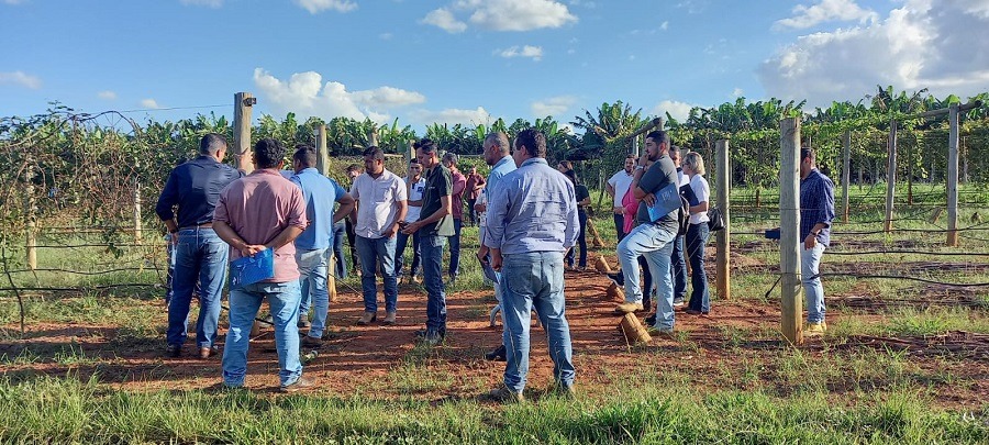 Novos produtores são selecionados para o projeto de Fruticultura do Vão do Paranã