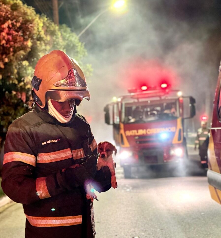 Equipe de Resgate do 1° BBM em Goiânia Realiza Heróico Salvamento em Incêndio. Foto: CBMGO