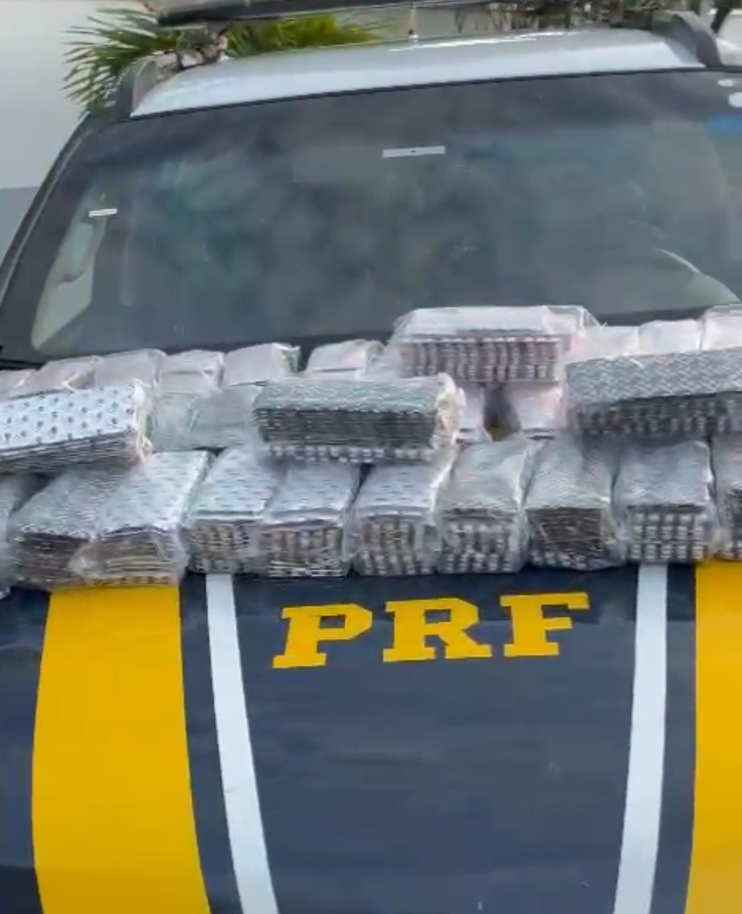 Caminhoneiro é preso com cerca de 50 mil comprimidos de rebite na BR-153, em Goiás