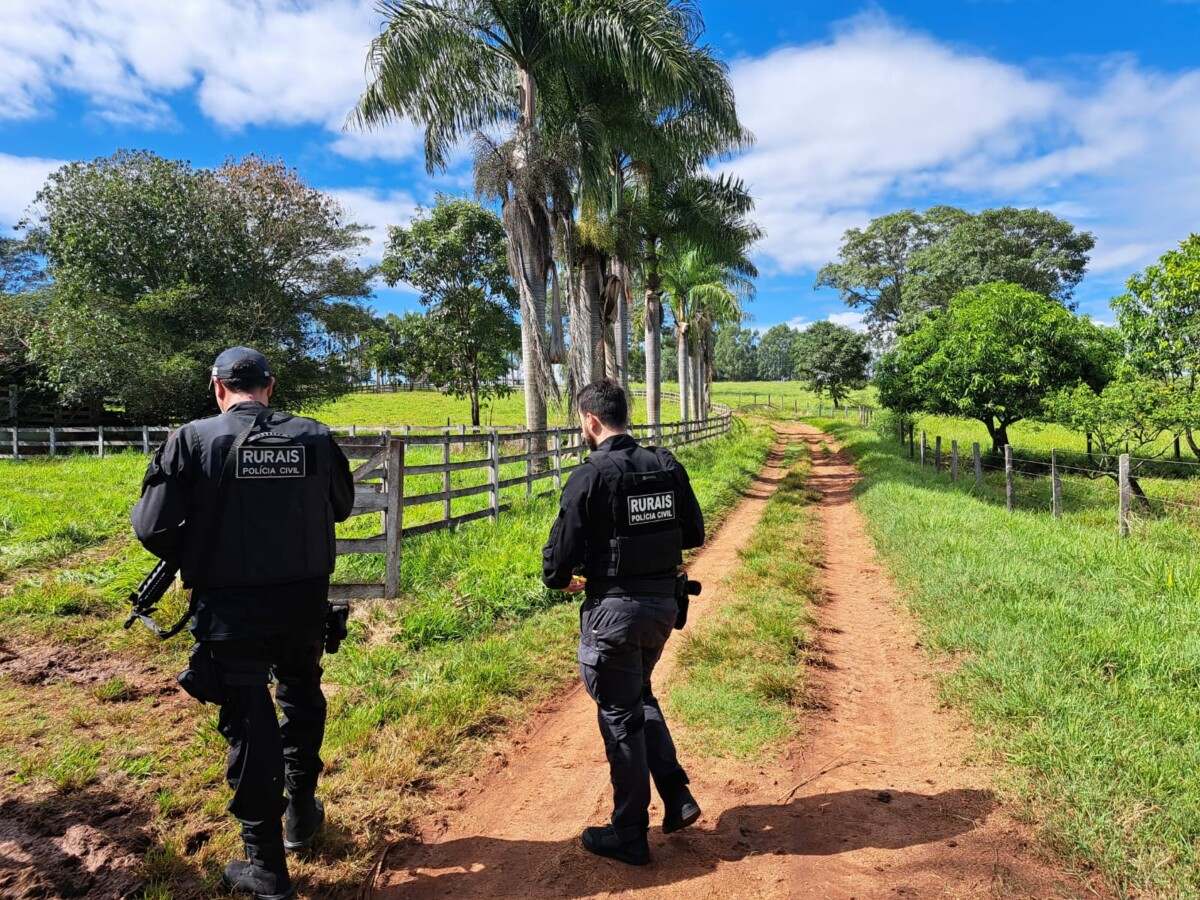 Foto: Reprodução PCGO