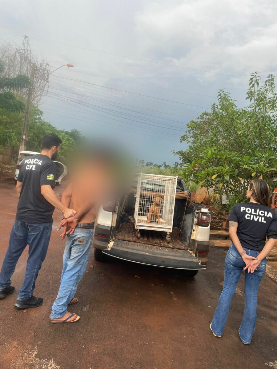 Homem é preso em flagrante, por agredir cachorro em Itumbiara