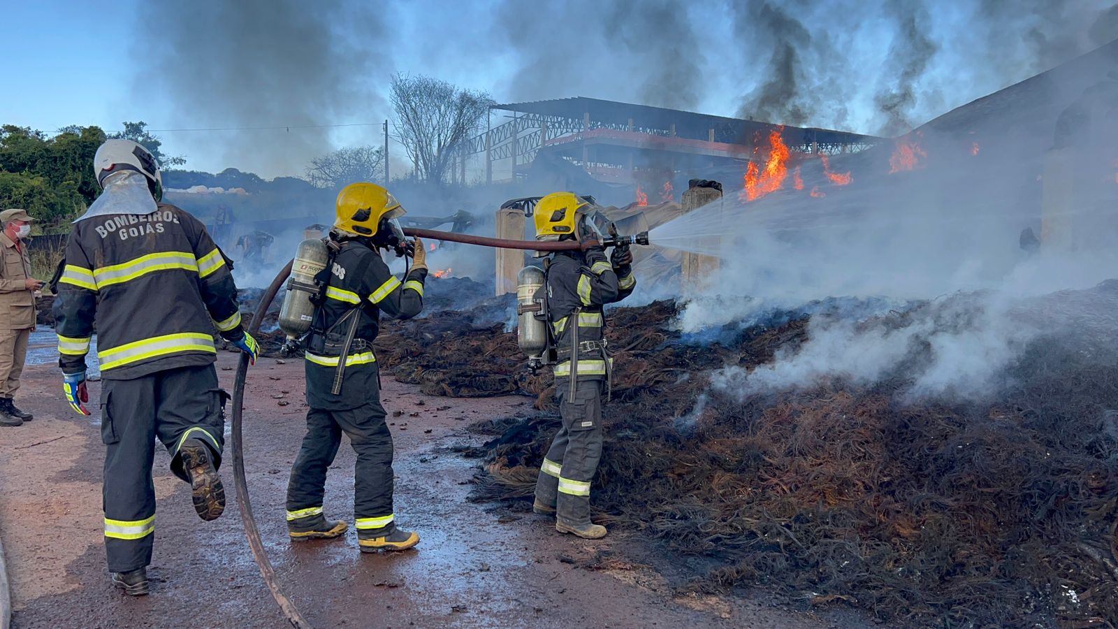 Equipes combatem chamas desde a noite de terça-feira. Foto: CBMGO