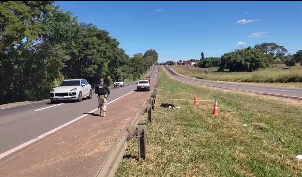 Fiscalizações resultam em centenas de autuações, destacando falta de cinto de segurança, embriaguez ao volante e ultrapassagens indevidas. Foto: Reprodução PRF-GO