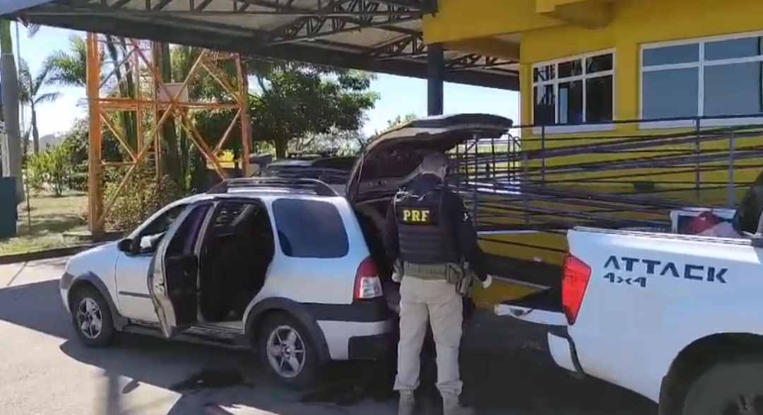 Veículo sem refrigeração é flagrado transportando carne suína irregularmente. Foro: Reprodução PRF-GO