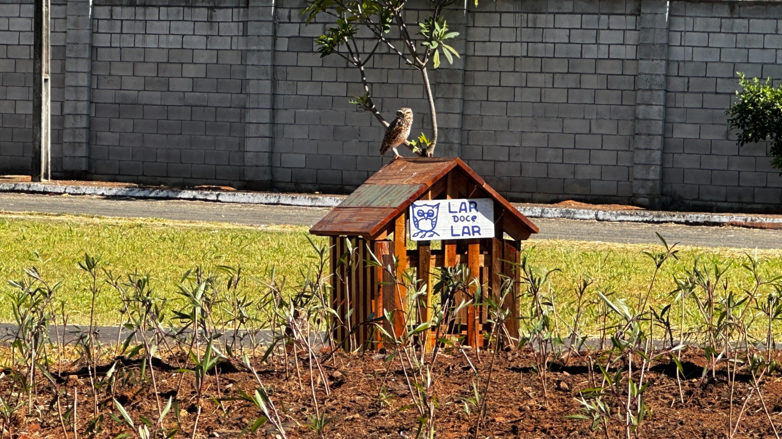 Prefeitura instala novos abrigos para corujas