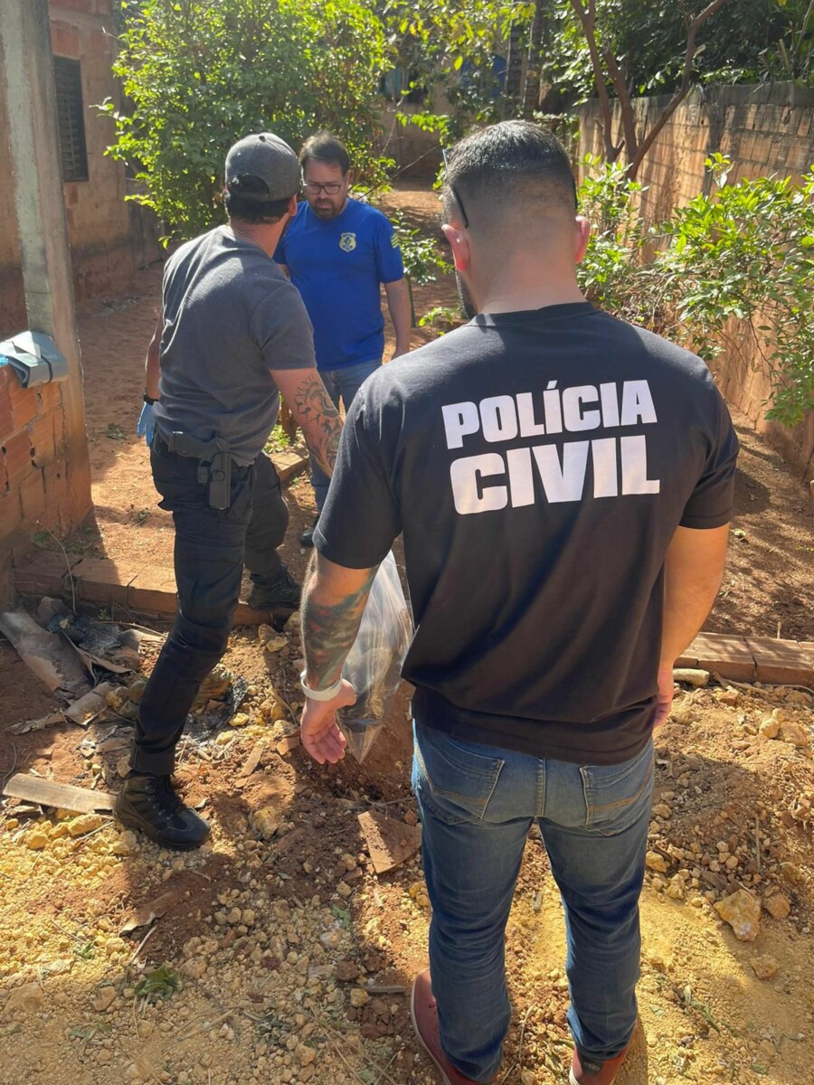 Após investigação da 1ª Delegacia Distrital, homem é detido por agressão e resistência à abordagem policial. Foto: Divulgação PCGO