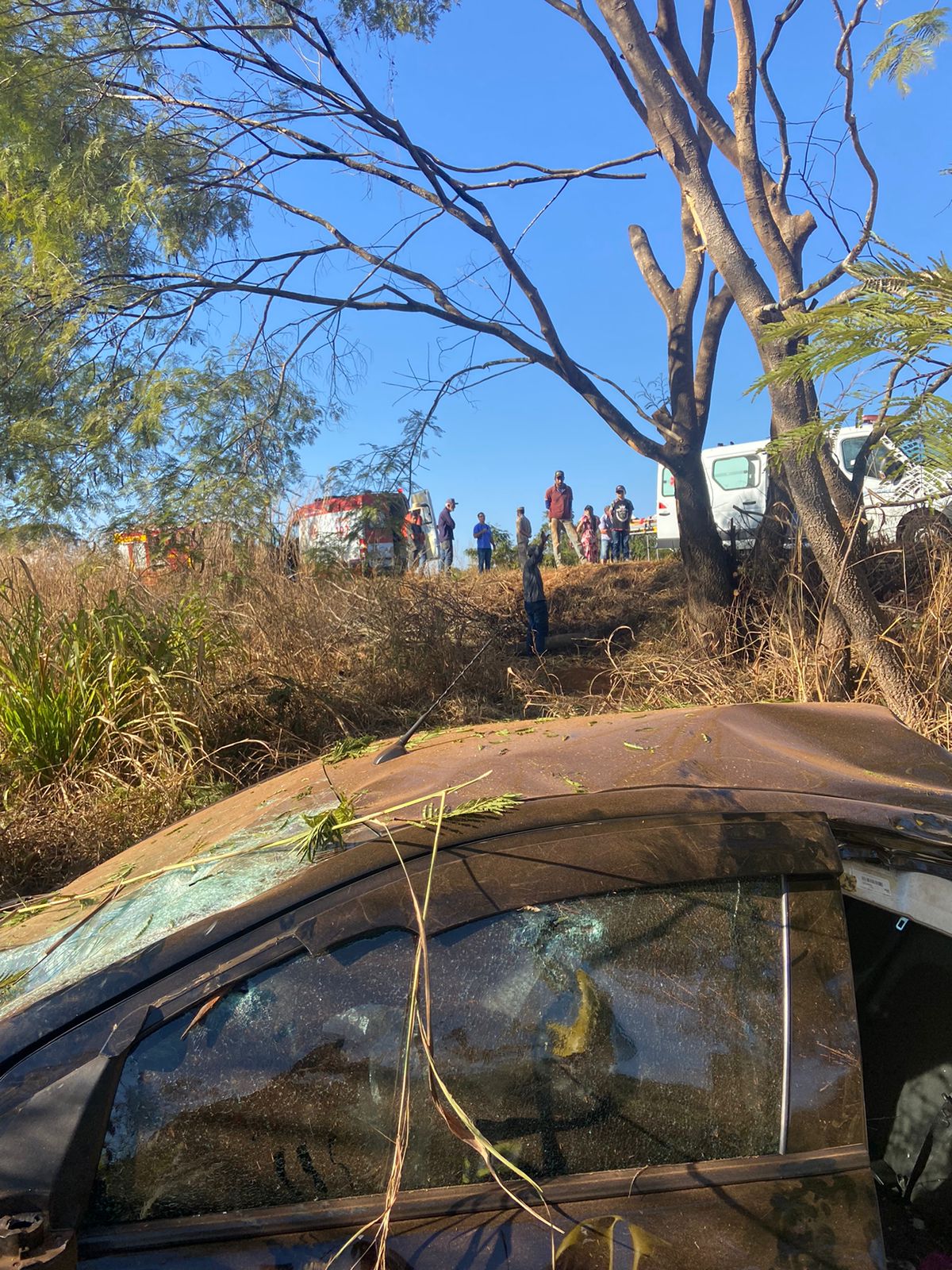 Bombeiros em Bela Vista Socorrem Vítimas de Acidente com Colisão em Árvore na GO-020 Foto: CMBGO