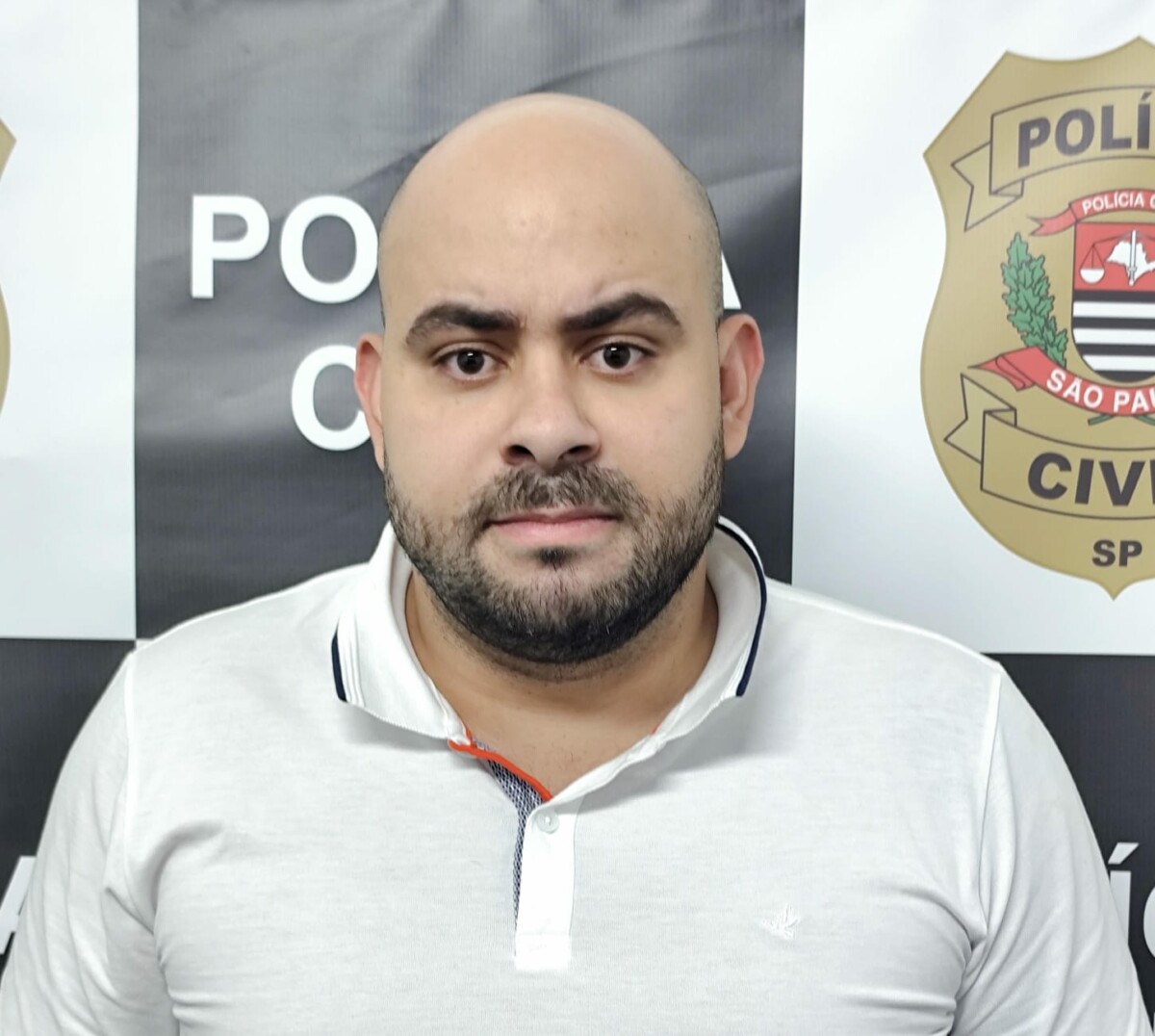 Operação Doc Fake Desmantela Esquema de Estelionato em São Paulo. Foto: PCGO