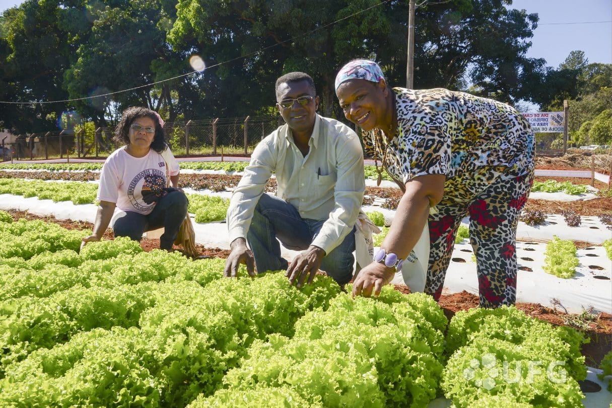 Nerópolis semeia o futuro: um modelo de desenvolvimento com a força da agricultura