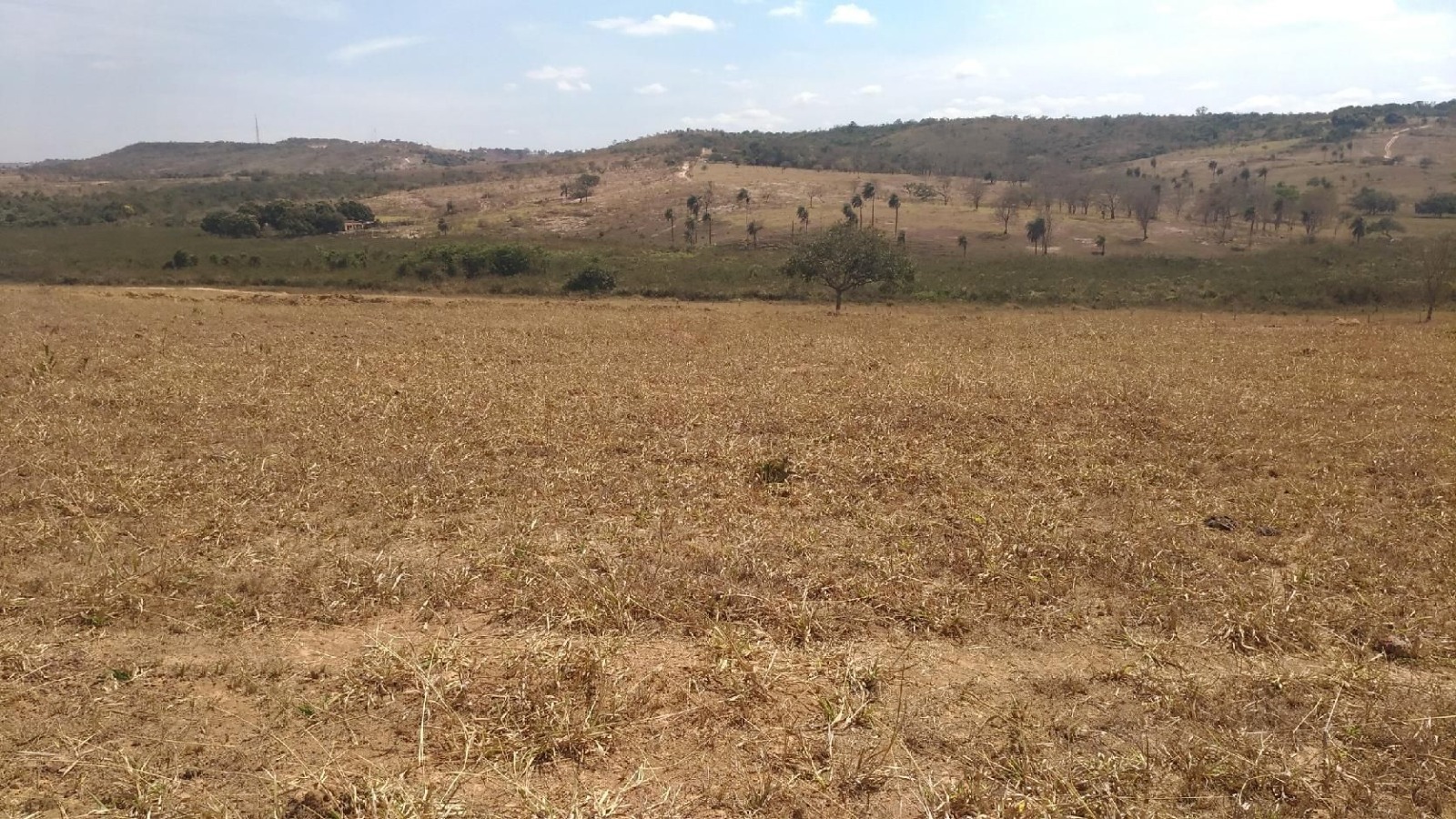 Expansão agropecuária pode ocorrer sem novos desmatamentos