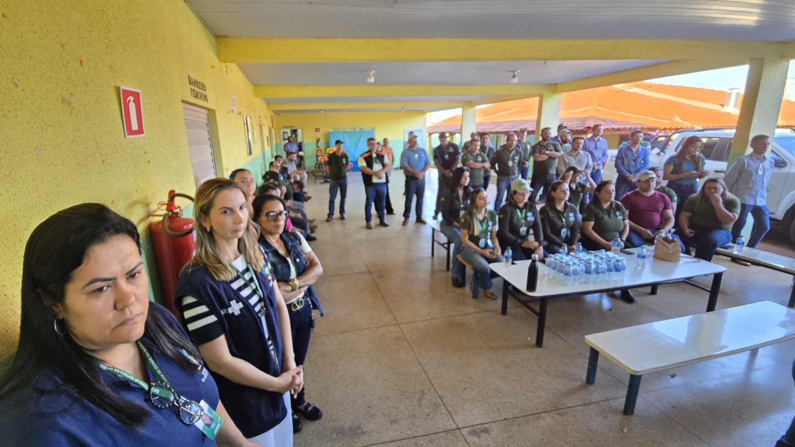 gripe aviária Governo de Goiás