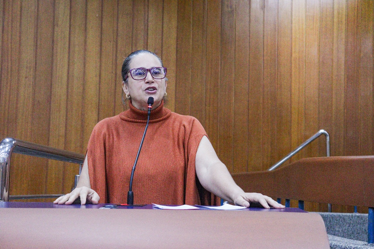 Presidente do PT-GO, Katia Maria (Foto:divulgação)