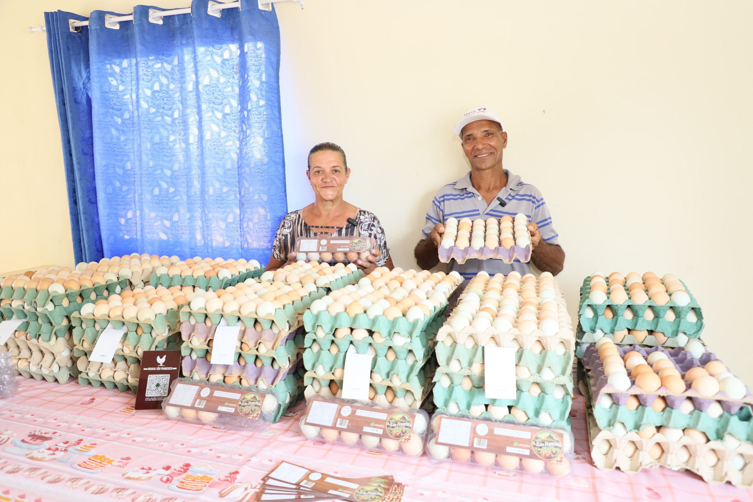 Agricultores familiares investem na avicultura como atividade para produzir no campo