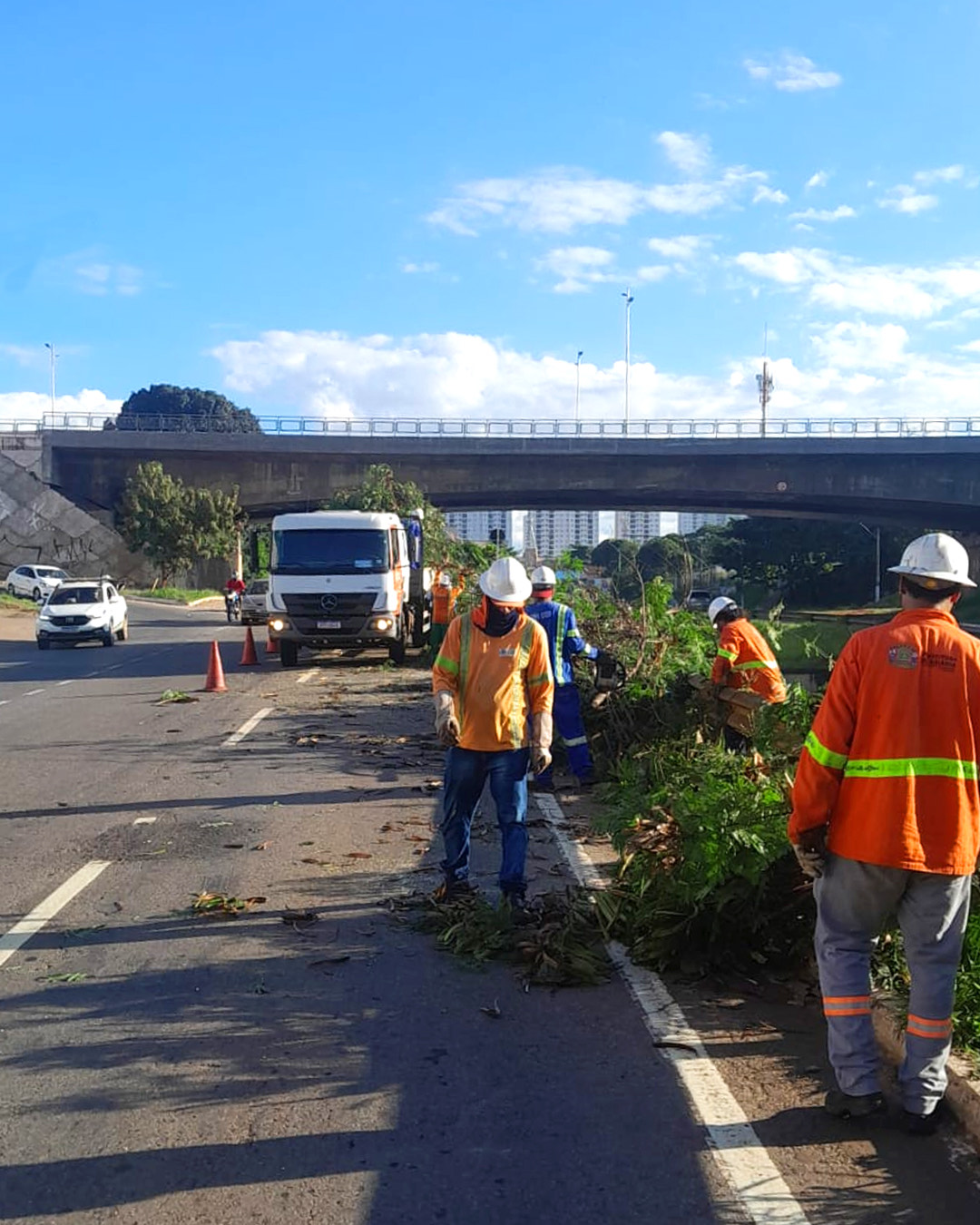 Vereadora Kátia denuncia Comurg por crime ambiental