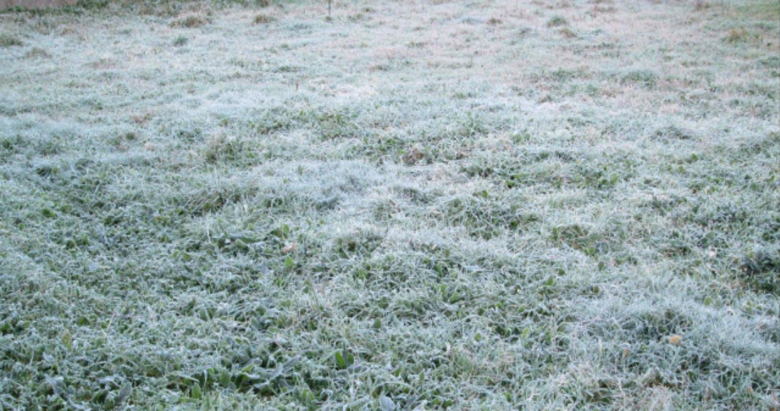 Goiás tem alerta para baixas temperaturas e até geada