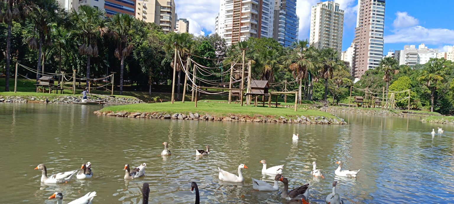 Frio perde intensidade e temperaturas voltam a subir