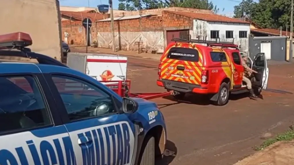 Justiça concede liberdade provisória a mãe após morte do filho por ataque de cão