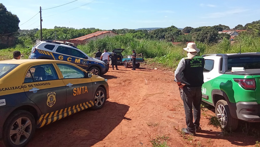 identificar infratores em pontos críticos de descarte de lixo
