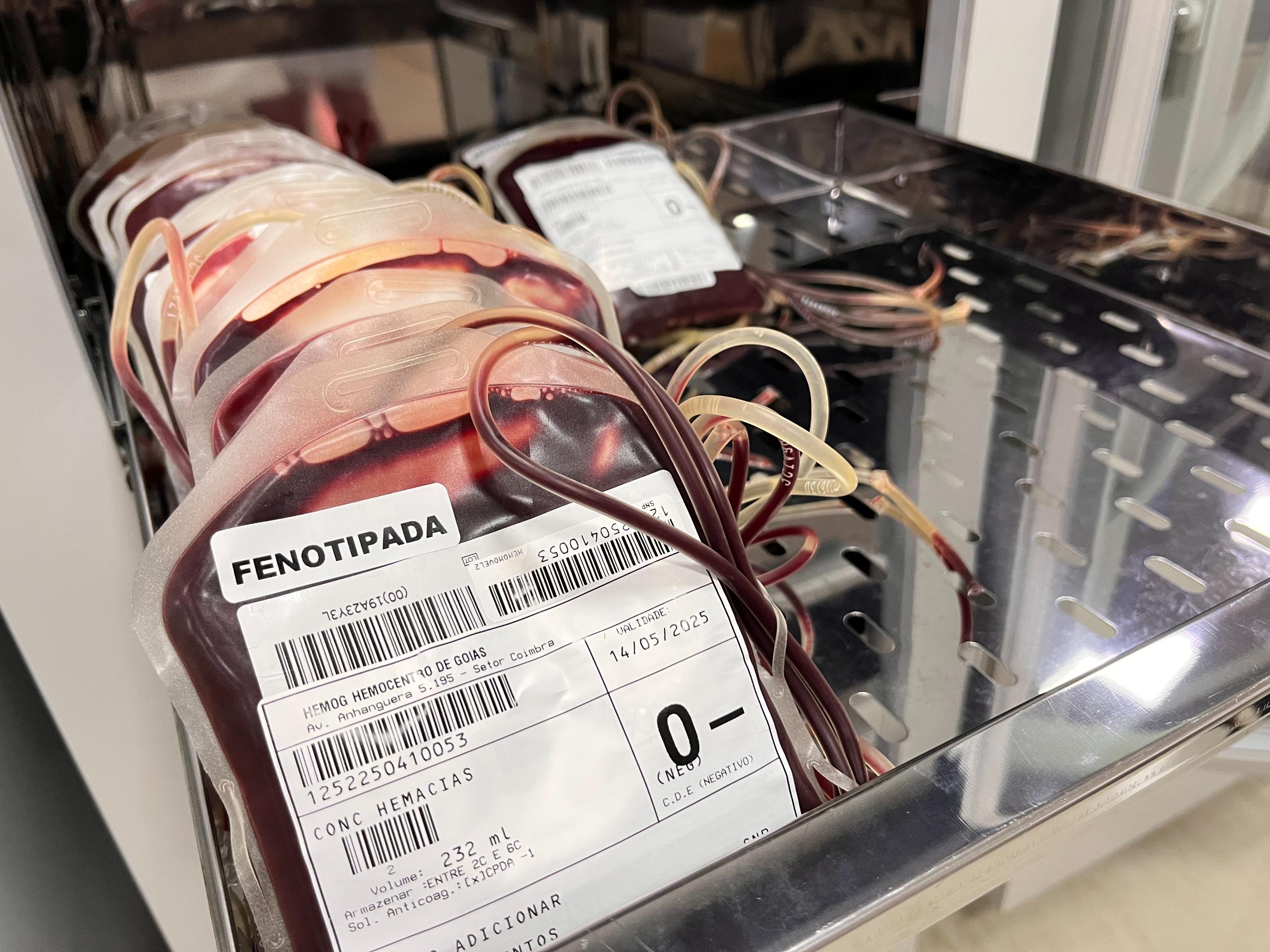 sangue doação