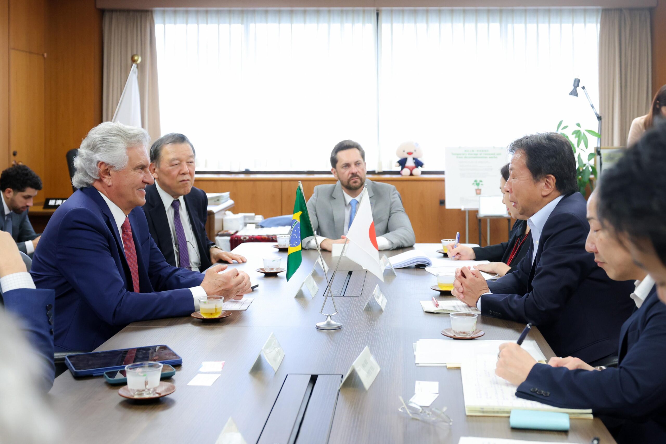 terras raras Caiado no Japão