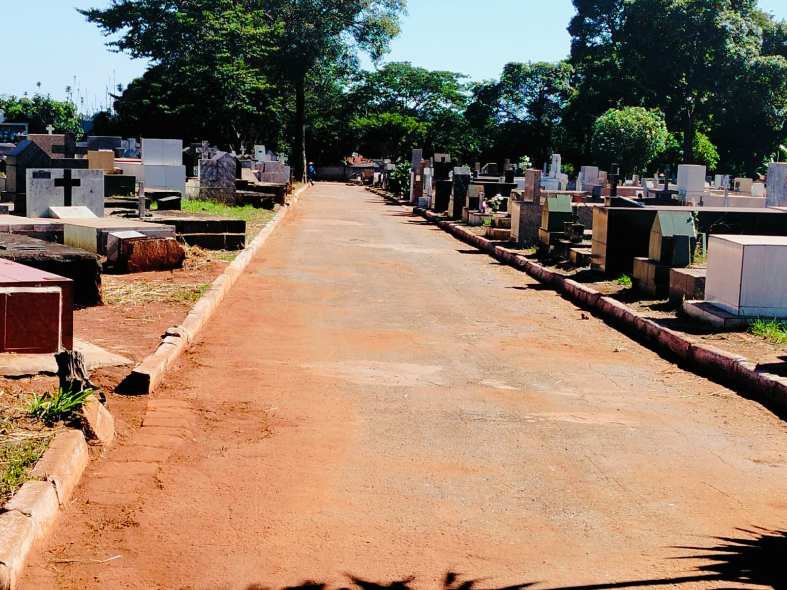 Prefeitura de Goiânia dá prazo de 90 dias para regularização de jazigos abandonados nos cemitérios Parque e Santana