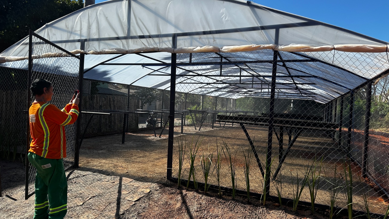 plantas viveiro