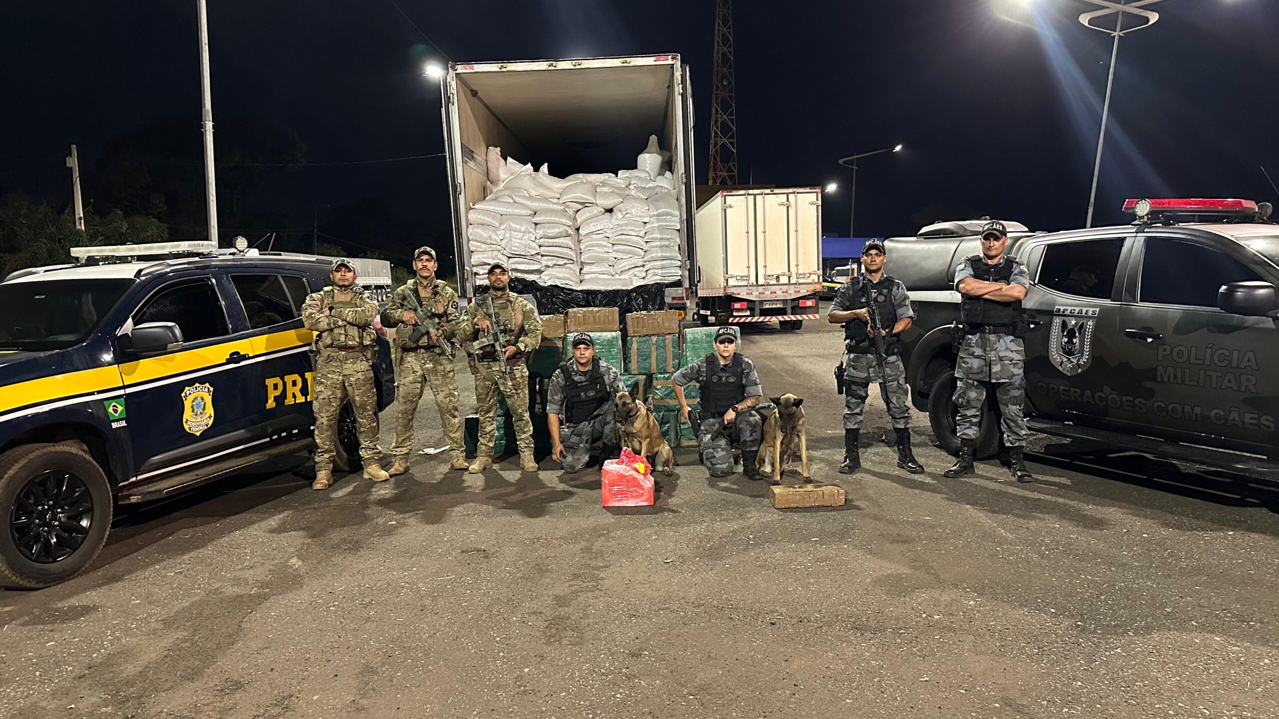 PRF e BPCães apreendem 544 kg de cocaína escondidos em carga de milho em Goiás (Foto: PM-GO)