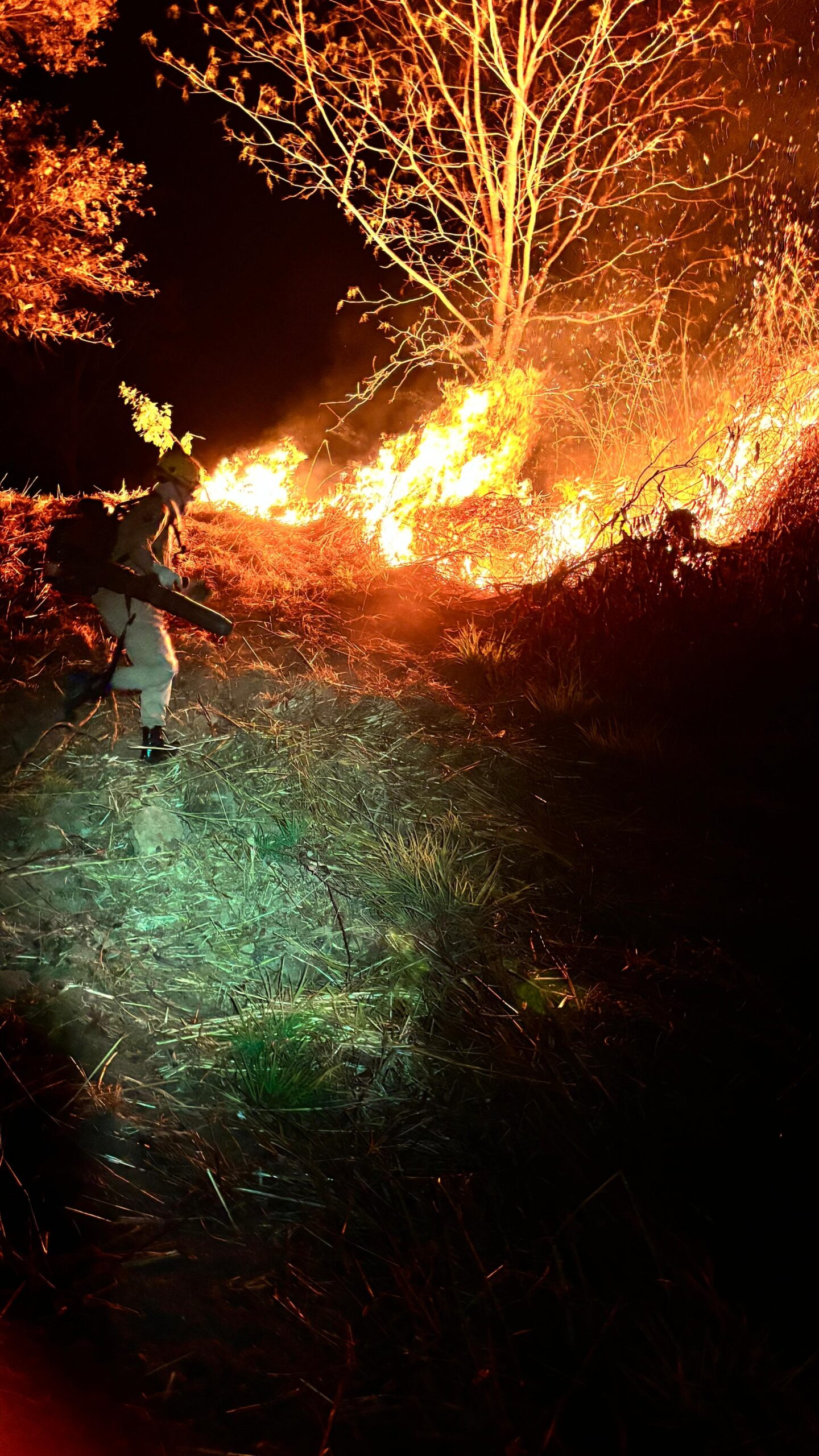 incêndios