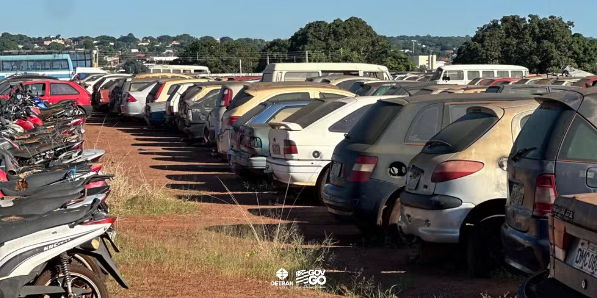 Detran liberação de veículos