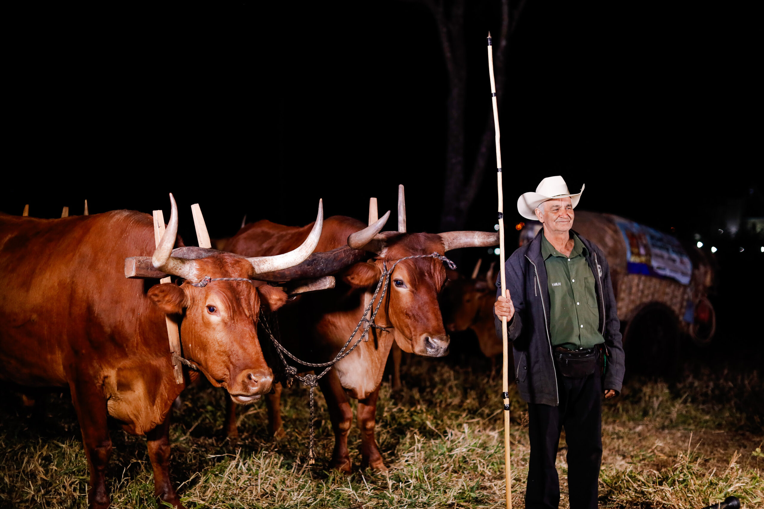 Romaria do Divino Pai Eterno (Foto: Divulgação)