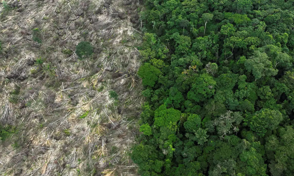 Brasil perde 111 milhões de hectares de áreas naturais em 40 anos, aponta MapBiomasReuters/Ueslei Marcelino