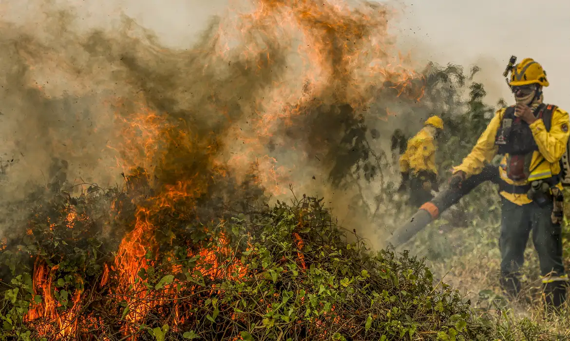 Goiás incêndios