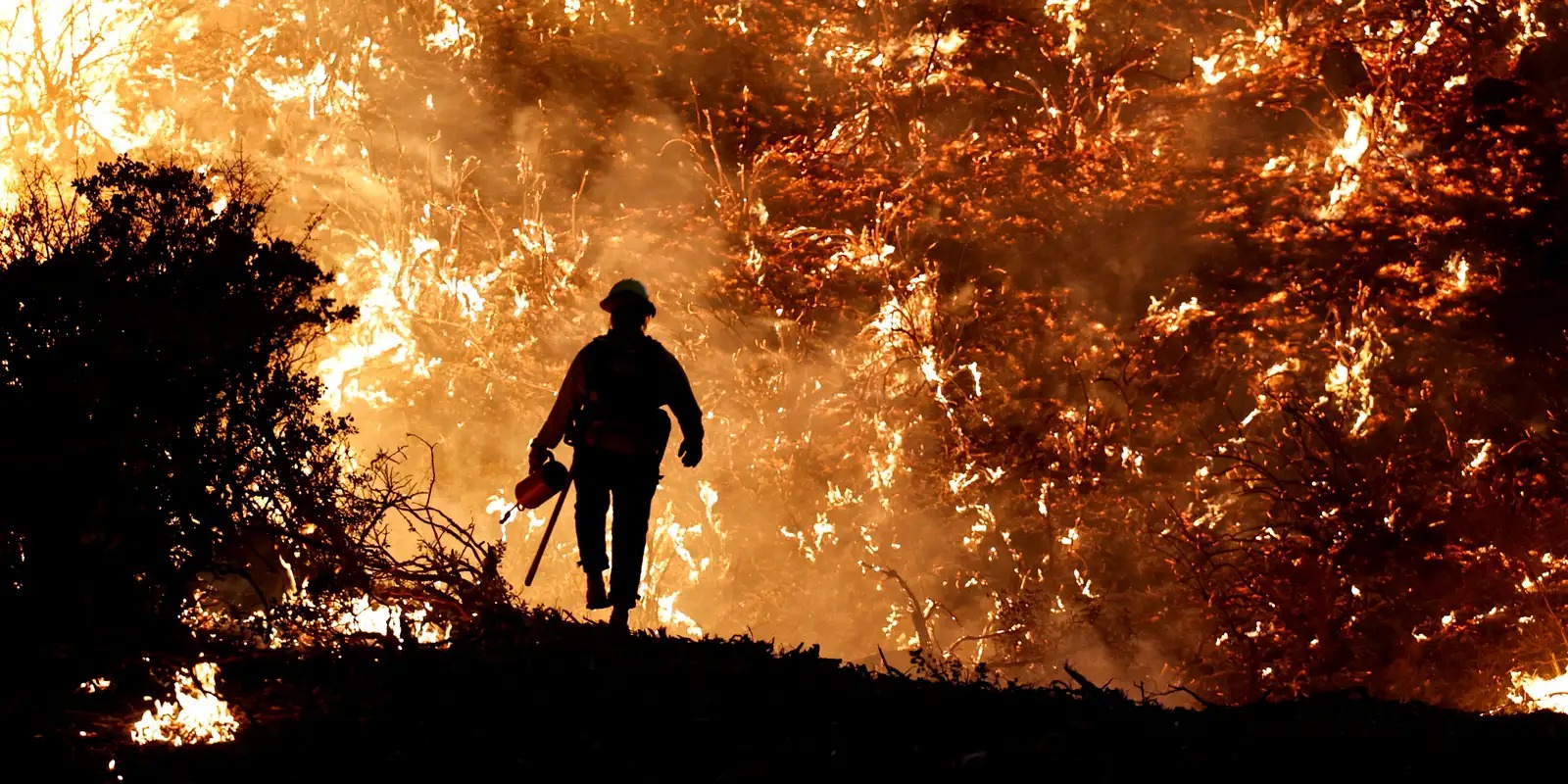 Semad estabelece regras para comprovar autoria de incêndios florestais em Goiás