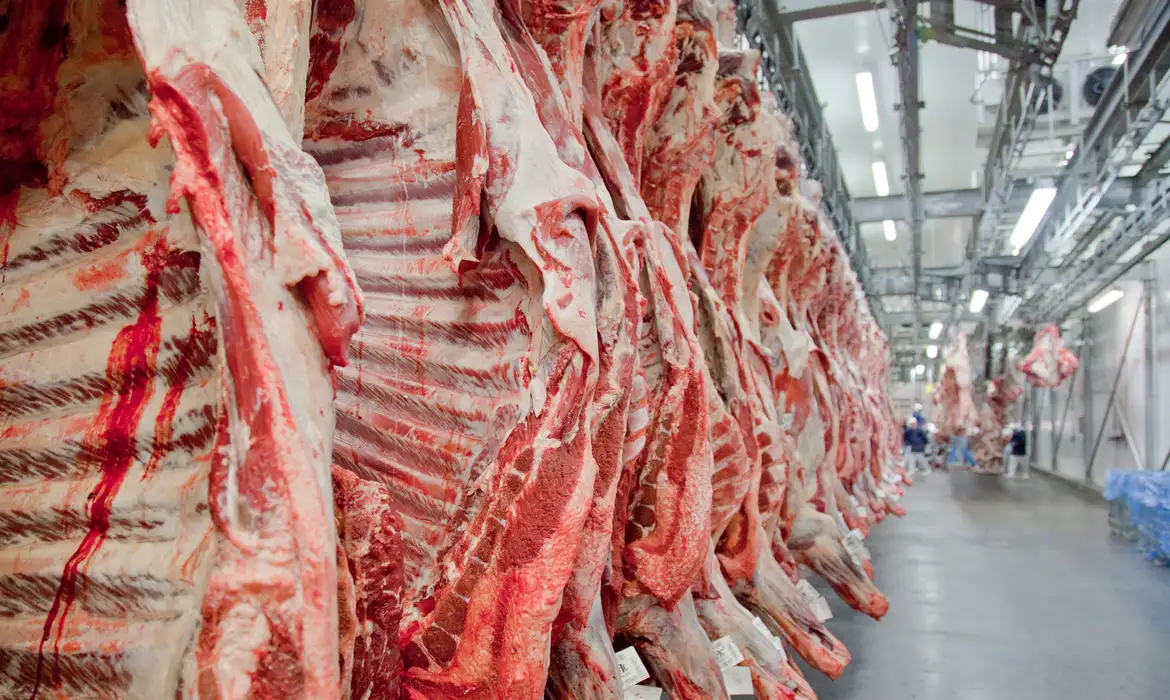 carne bovina