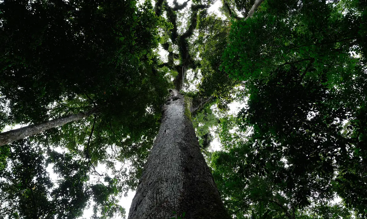 licenciamento ambiental