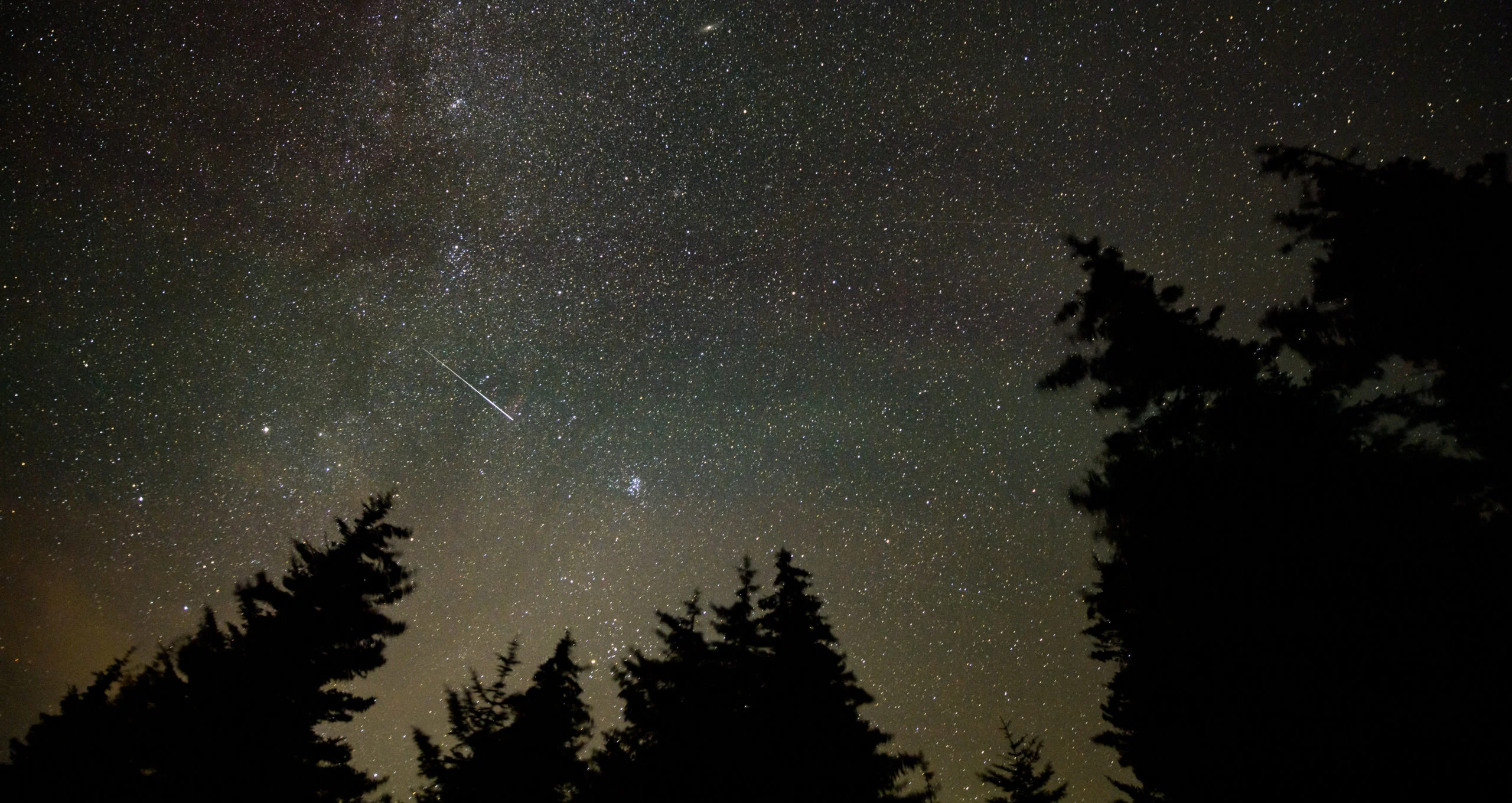 Chuva de meteoros Perseidas atinge máxima atividade entre 12 e 13 de agosto(Crédito: Nasa/Bill Ingalls)