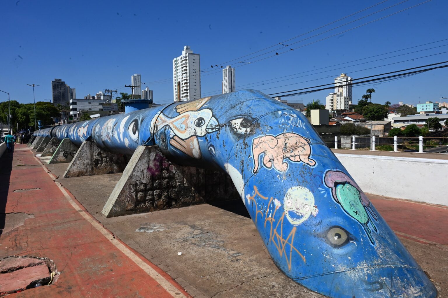 pontes Goiânia