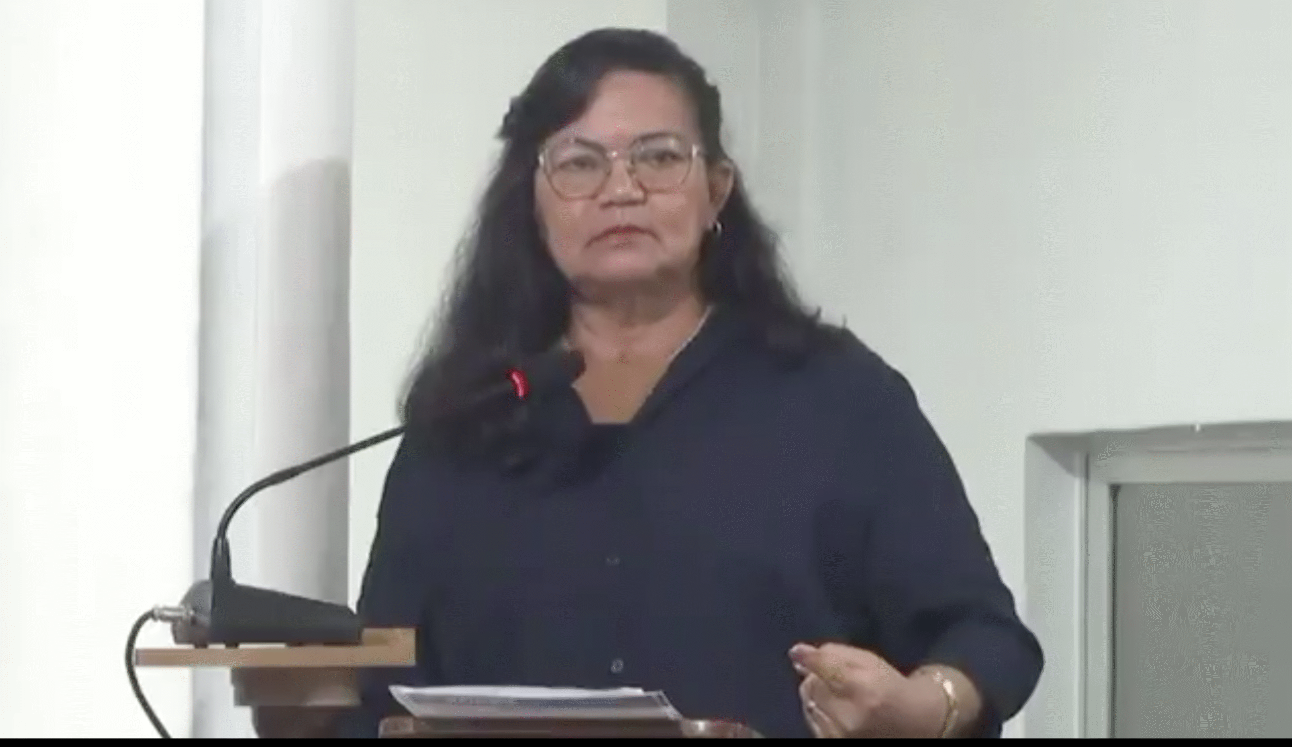 Vereadora Elizabeth Maciel, conhecida como Betinha, afirmou em plenário que “tem mulher que merece apanhar”