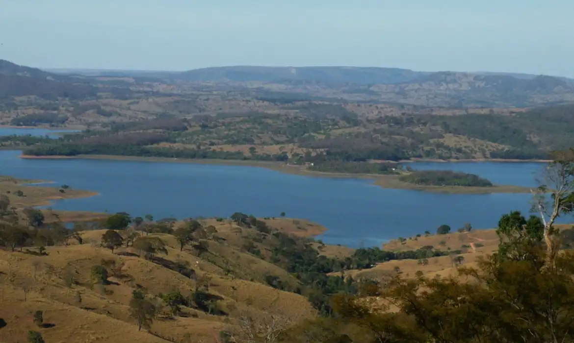 Mata Atlântica Goiás