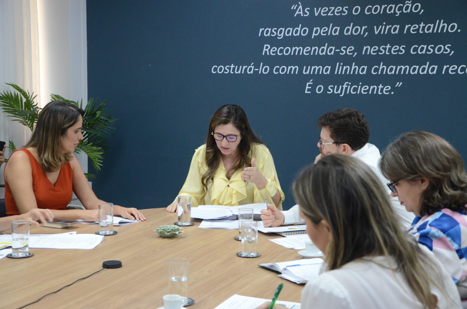 Imas reunião