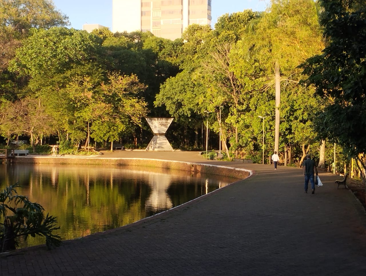 Bosque dos Buritis