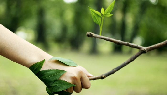 licenciamento ambiental