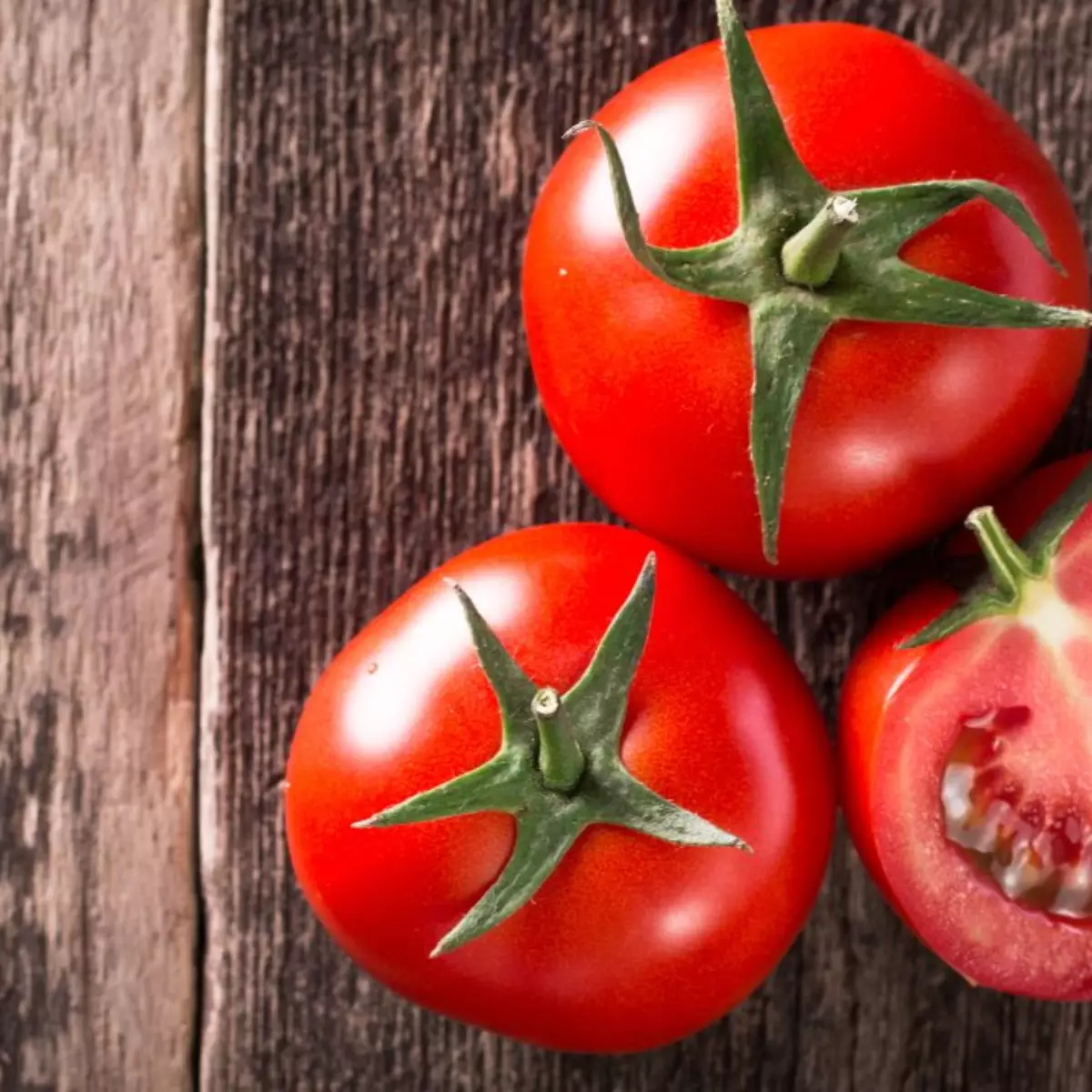 tomate comum