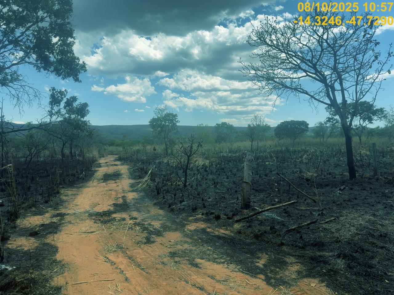 incêndios Chapada