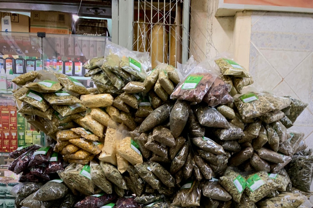 plantas medicinais