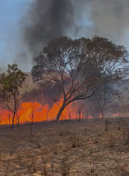 Incêndio Chapada do Veadeiros